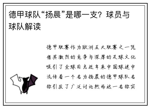 德甲球队“扬晨”是哪一支？球员与球队解读
